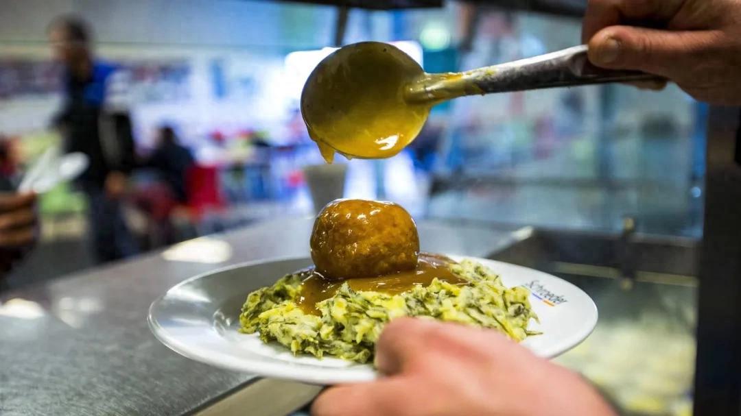 一个肉丸打发一周？荷兰营养中心：红肉每周别超100克，奶酪减半