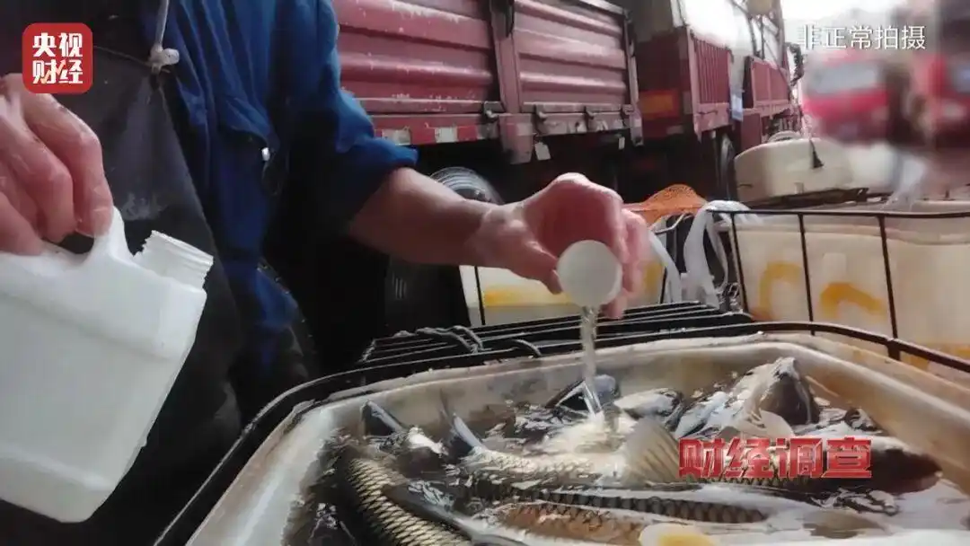 活鱼被“灌”工业酒精，不只“醉鱼”有风险