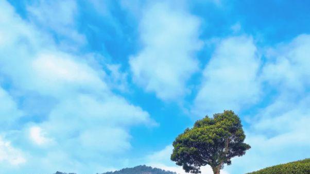 不用远游，杭州九溪烟树就有 “小九寨” 的清绝