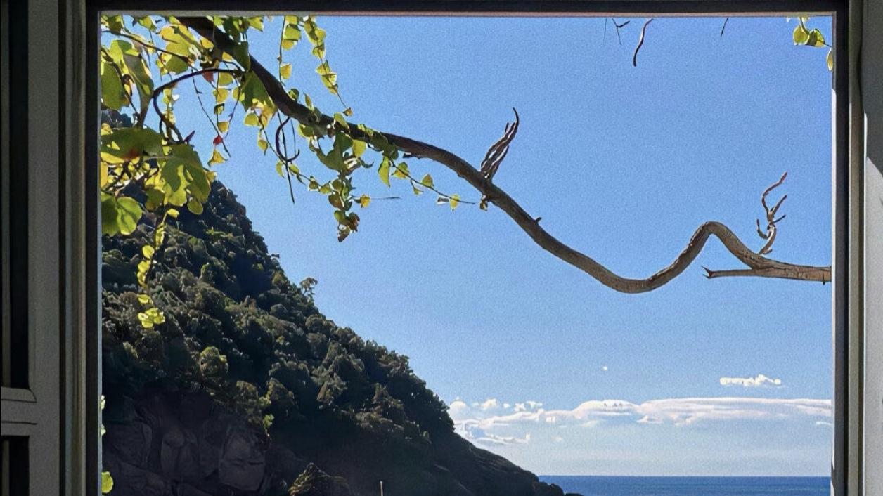 自考学位英语与英语专升本考生备考难度对比指南