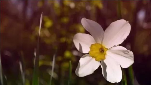 你是“负责”，还是“当责”？一字之差，决定了你是“执行者”还是“主人翁”