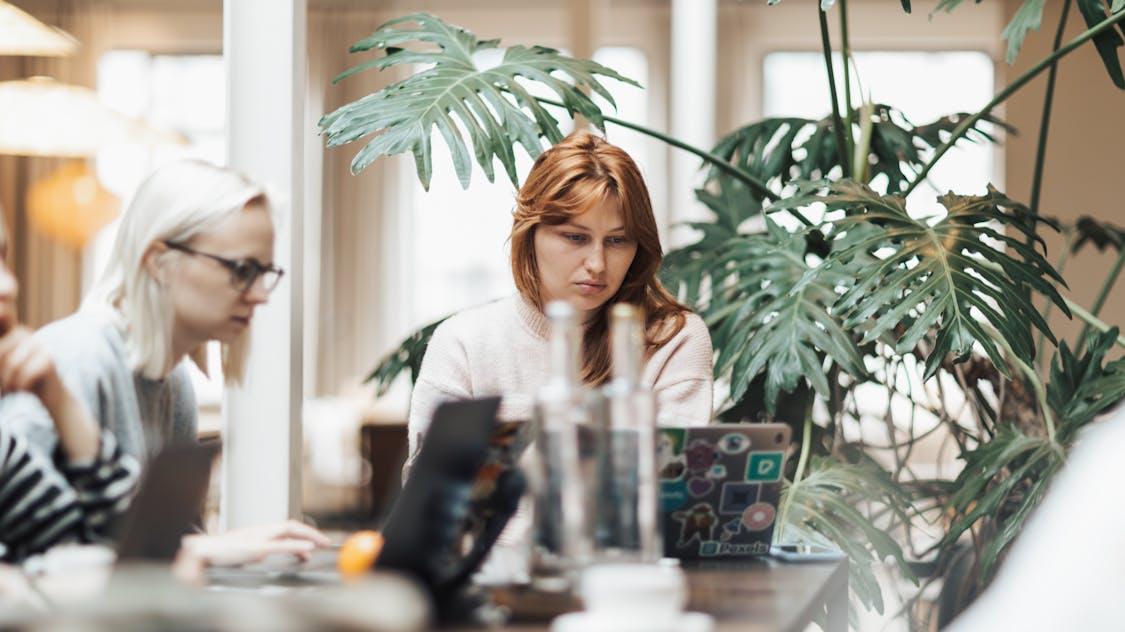 LLM Security Engineer：2026 北美薪资天花板的“隐藏入口”