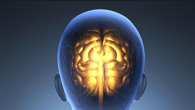 HIV感染两周就伤脑！早期治疗有助于保护HIV感染者的大脑