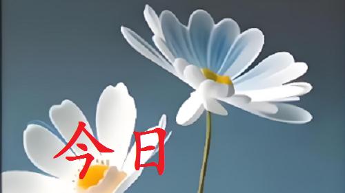 今日运势：4月19号周日（癸亥日），十天干财运