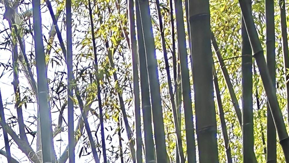 自信很好，别忘自省