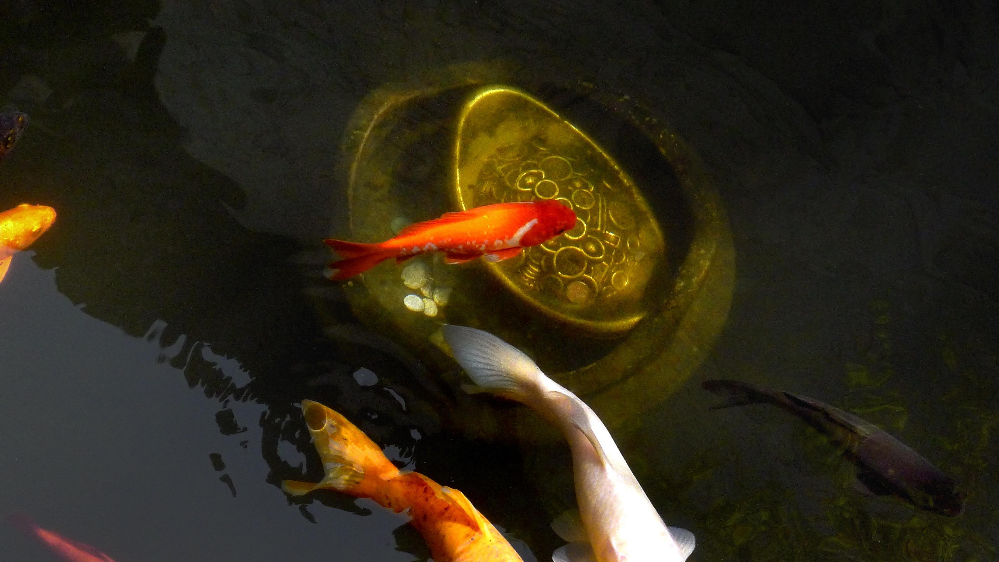 2026年：别只盯着涨跌，真正钱在结构里