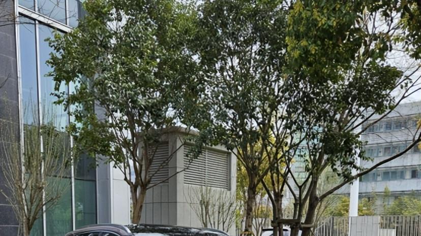 园区里停了台紫色林肯