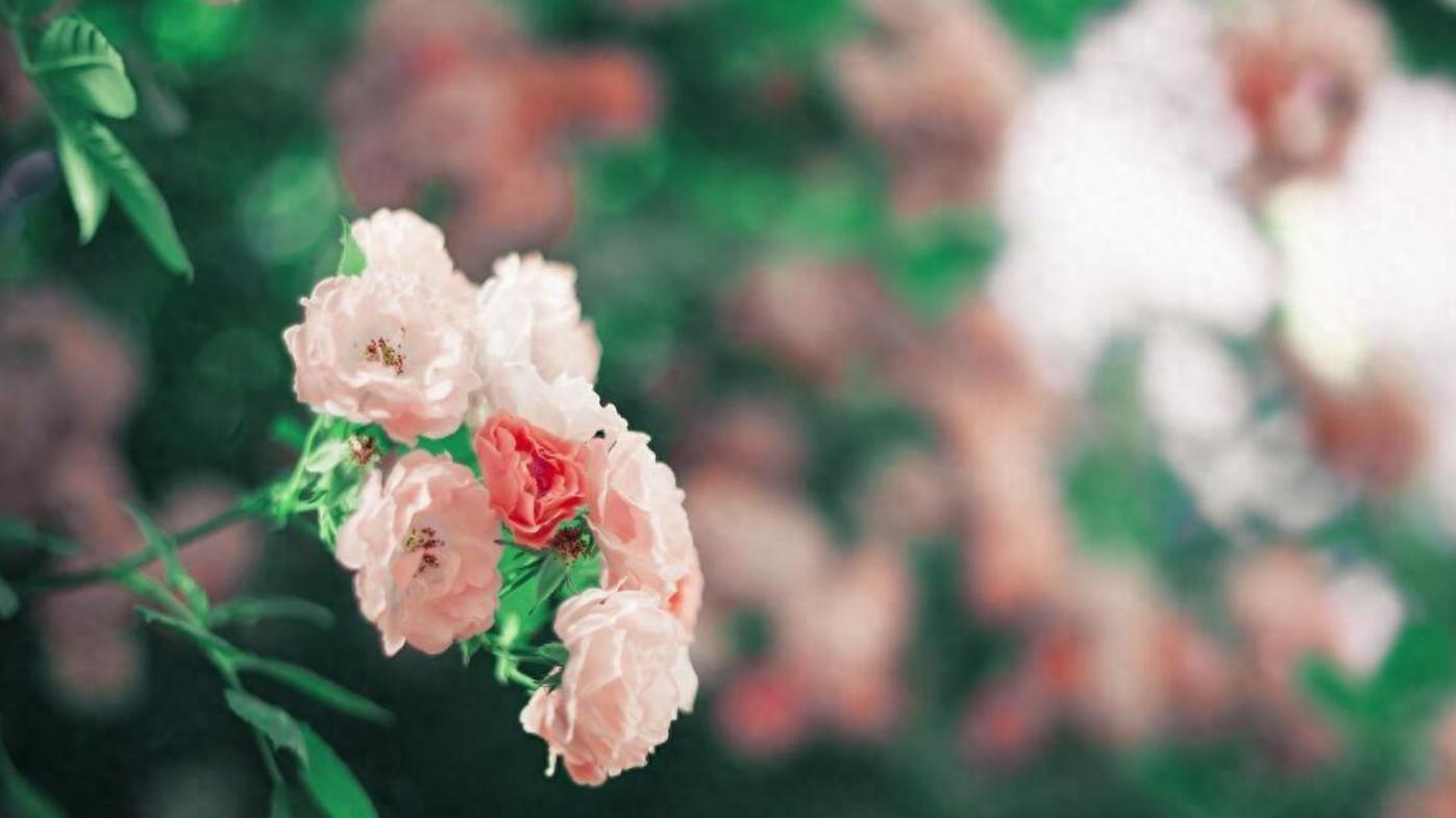 再婚必须生个孩子才能维持婚姻吗？过来人：背后都是心酸