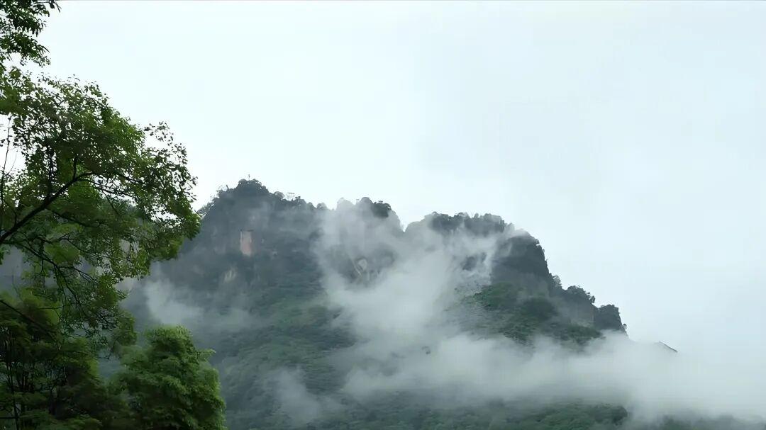 七律·青山幽栖自在身