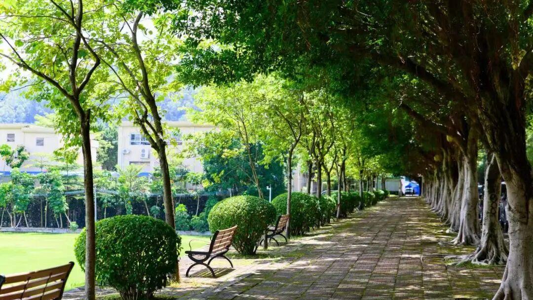 广州新华学院好不好？晋级国赛，法学在一众专业院校中突出重围！