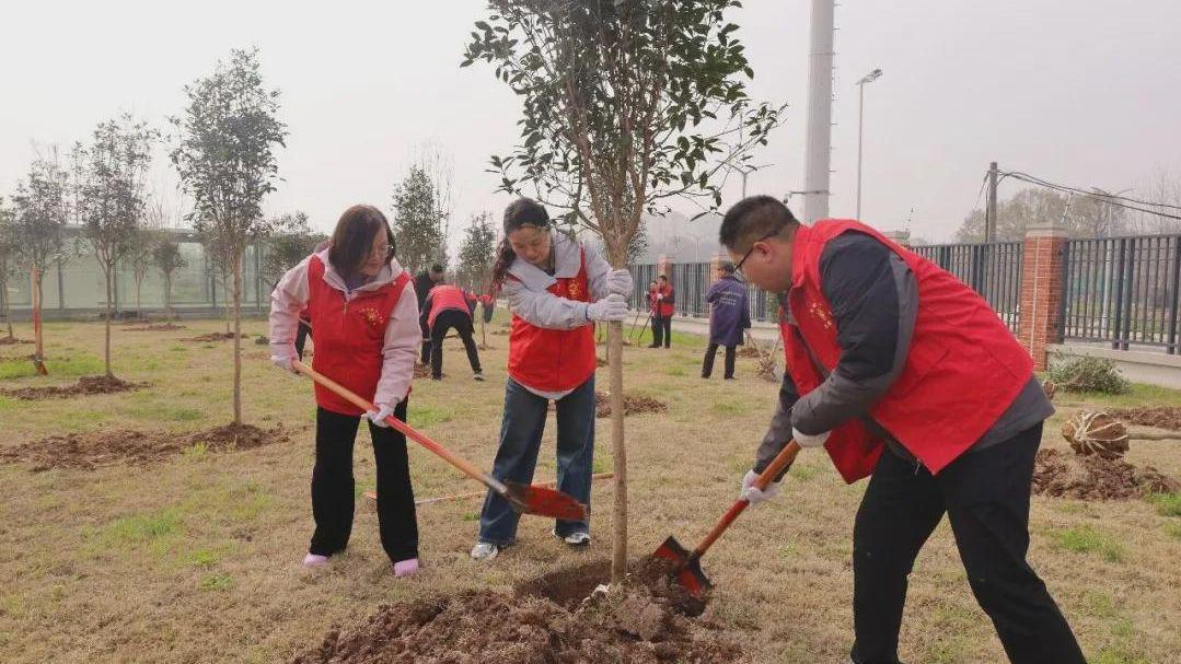 信阳市教体局：且趁春风“植”新绿 同心共绘信阳美