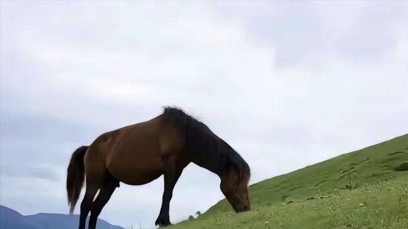 按时上班，不能随便出入，打工人的难，藏在细节里