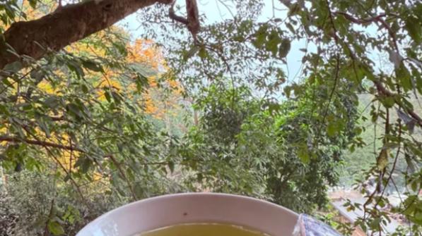 一屋老友一壶清茶，老茶馆留住旧时代烟火