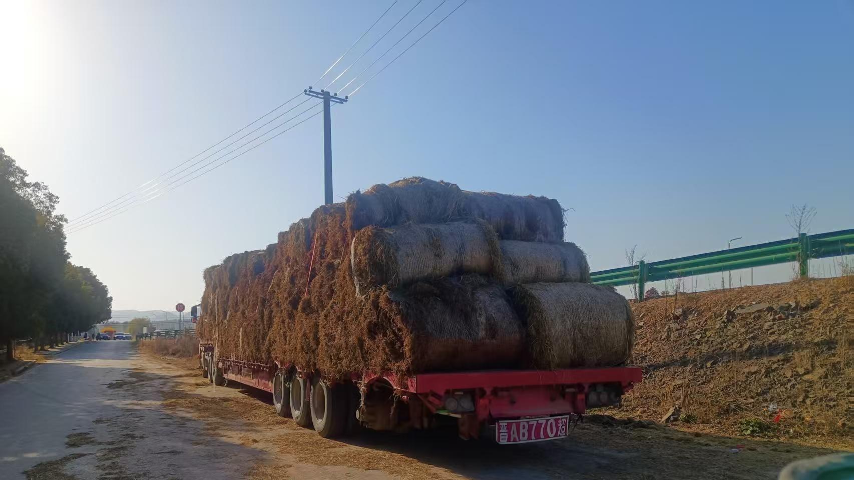 阳新荆头山农场：田产“瑞士卷” 经营产销两旺