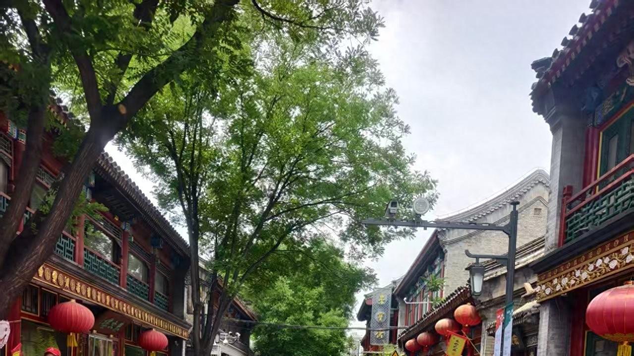 文化遗产日品墨香 收藏专家谢红一行与书法家刘清石畅谈文脉传承