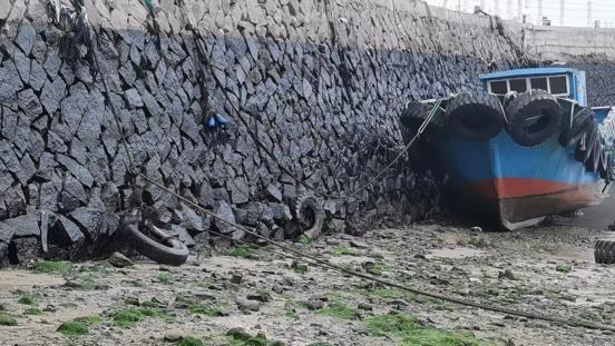 深度调查：平潭看澳村三十余载“海殇”：家族盘踞、监管推诿，国际旅游岛边缘的生态与民生之痛