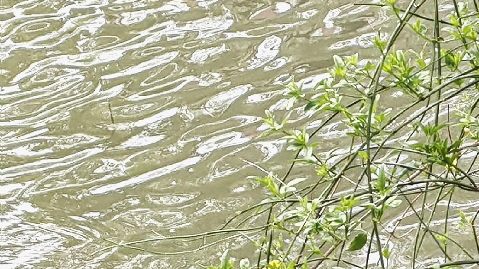 人在职场：与世无争，不可能