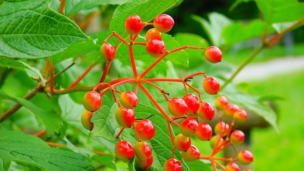 基层防灾，才是真正的“最后防线”