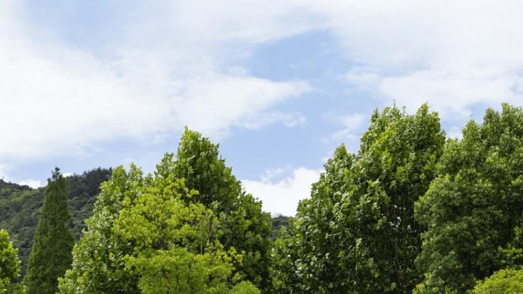 蔚来换电达成1亿次 充换双轨共生格局曙光照进现实