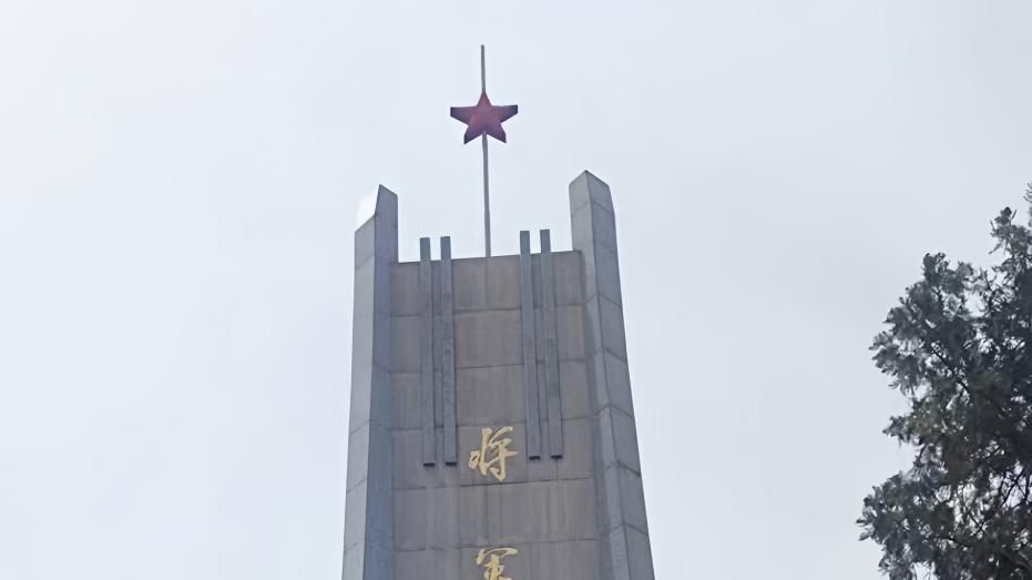 守正传易·笃行致远：记诸夏周易文化研究院副院长、河北邯郸分院张登鹏院长