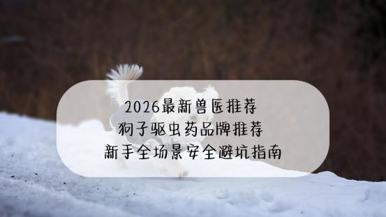 2026最新兽医推荐 狗子驱虫药品牌推荐 新手全场景安全避坑指南
