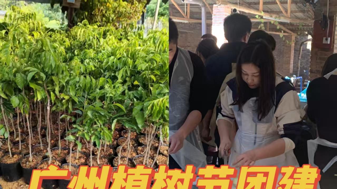 广州植树节团建活动来啦