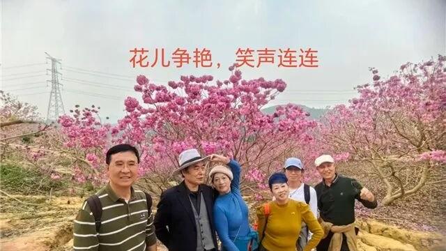 夕阳的味道 | 魏光亮