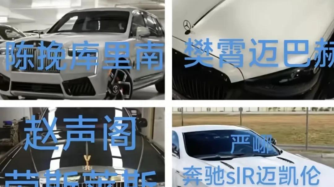 青泽：疯批配疯批