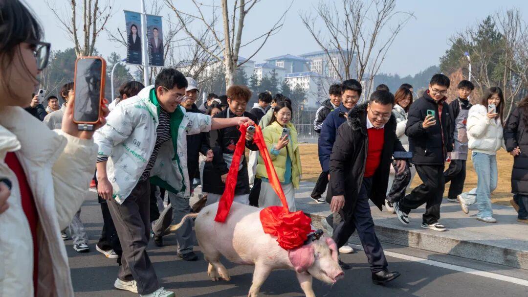 以父母之心，暖学子寒冬：湖北恩施学院这场刨汤宴，暖胃更暖心 一场联结传统与温情的校园家宴