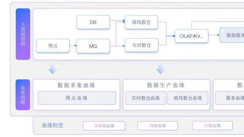 终于有人把数据血缘搞清楚了！