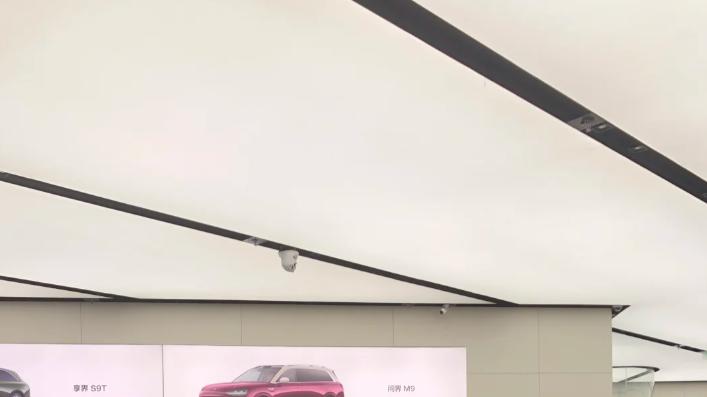 被难住了！极氪9X和问界M9怎么选？