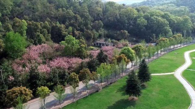 湖北文理学院就业好不好？双选会真实数据，相关行业纷纷入校！