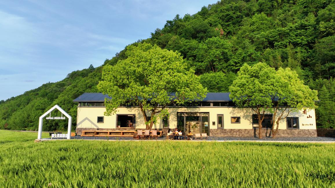 育强乡村“领头雁” 杭州富阳以人才赋能走出共富新路径