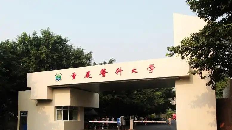 重庆市有哪些特色的双非高校？