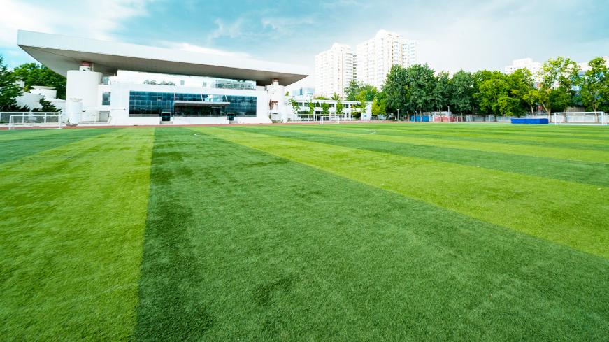 北京中外合作办学专业推荐，北语当然值得推荐！