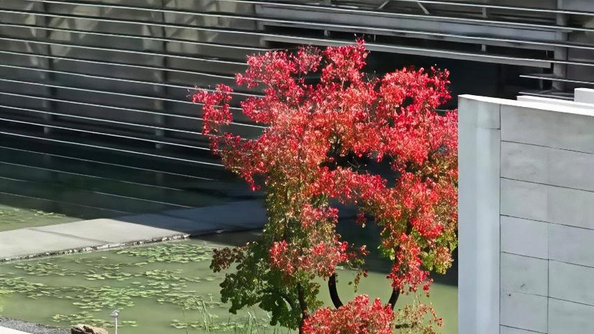 安徽宣城4A级景区宣纸文化园，无数游客赞不绝口之地！