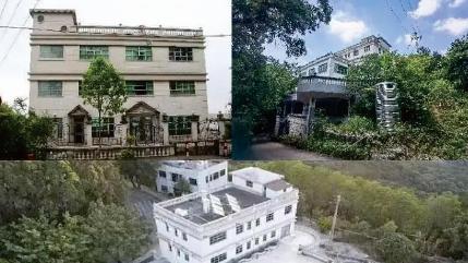 民营观音山公园千亩毁林问题亟待解决