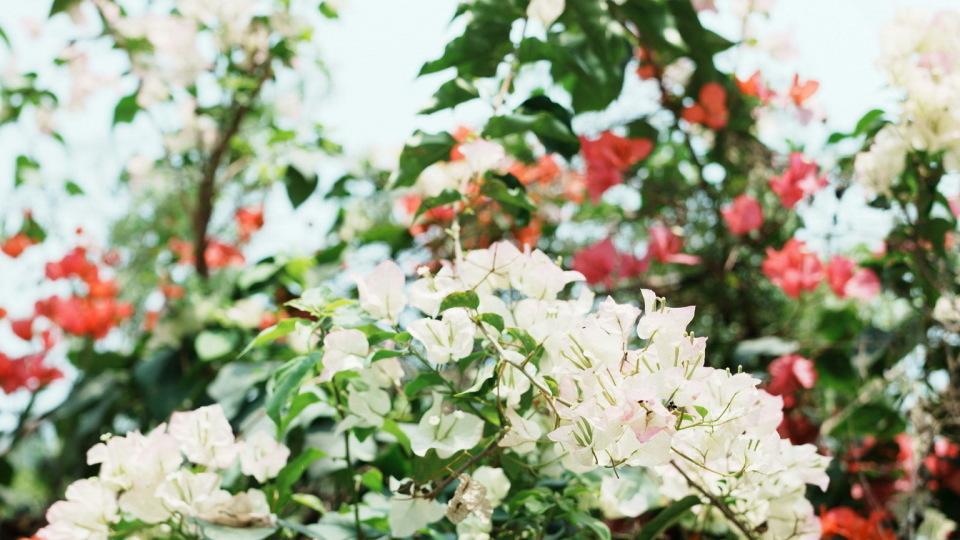 我妈生病，弟弟说没钱，我花钱给她看病，保险的钱我妈都给了儿子