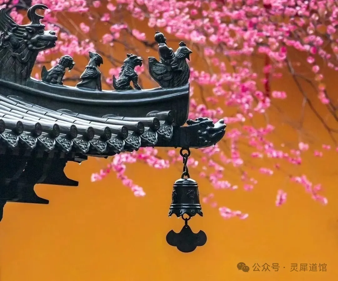 关于正缘的硬核科普，早看早清醒
