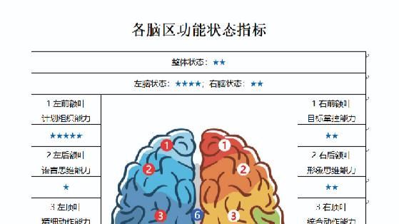 大脑发育的第三个黄金期：7岁到11岁