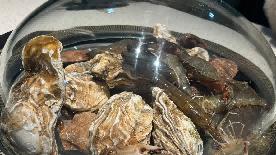 来威海一定要吃的几家店，来看看你吃过几家？