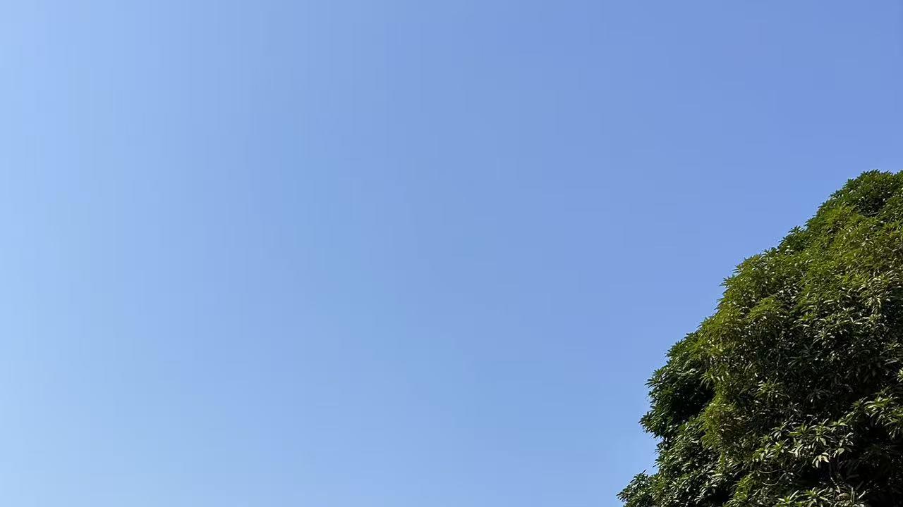 能否咸鱼翻身，看老天爷给不给面子