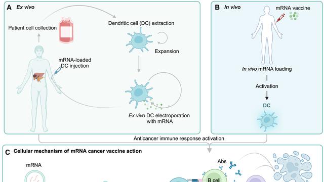 癌症疫苗成真了！国内多款mRNA癌症疫苗临床数据公布：部分晚期患者肿瘤缩小，复发率降低近半