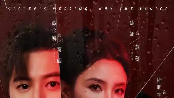 《妹妹结婚，你当姐姐的慌什么》甜宠反转与温情博弈（53集）