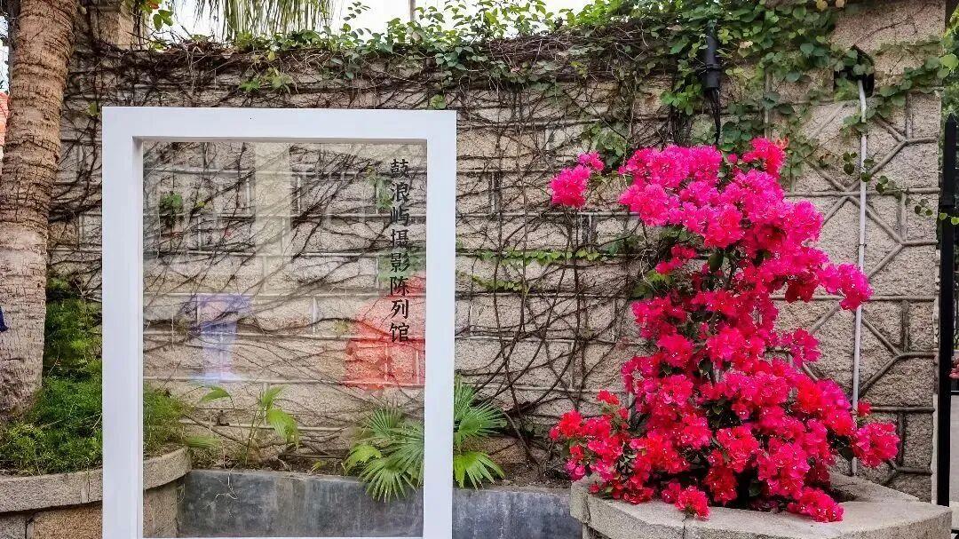 冬天的鼓浪屿依然绿意盎然，在这里过一个快慢皆宜的暖冬