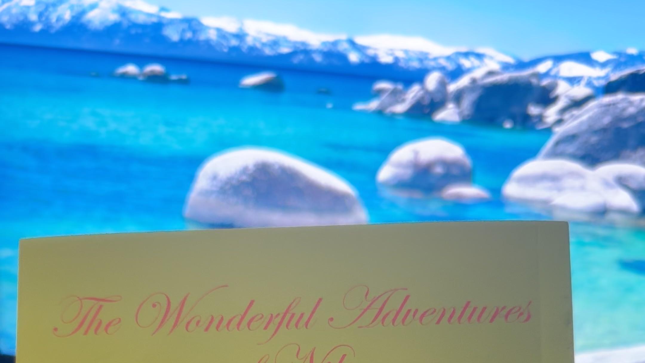 不论遇到什么困难，都不要轻易放弃希望