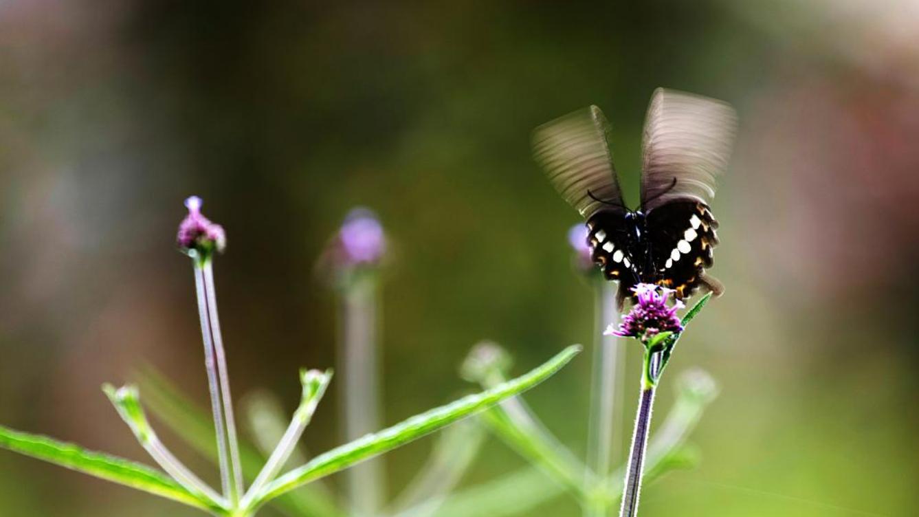 婚姻里，其实只有一件事值得计较