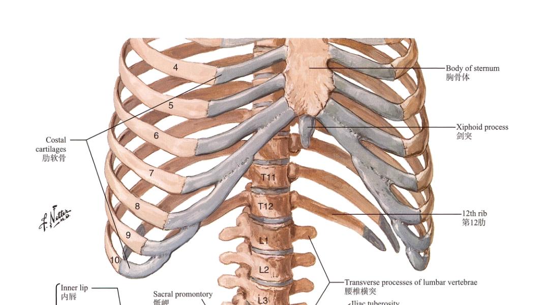 “人体生命结构再造工程”与“东方柔性正骨”，究竟谁更懂你的身体？