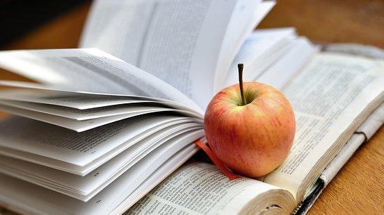 因存在仲裁协议而否定法院的审理权，应提管辖权异议还是主管权异议？