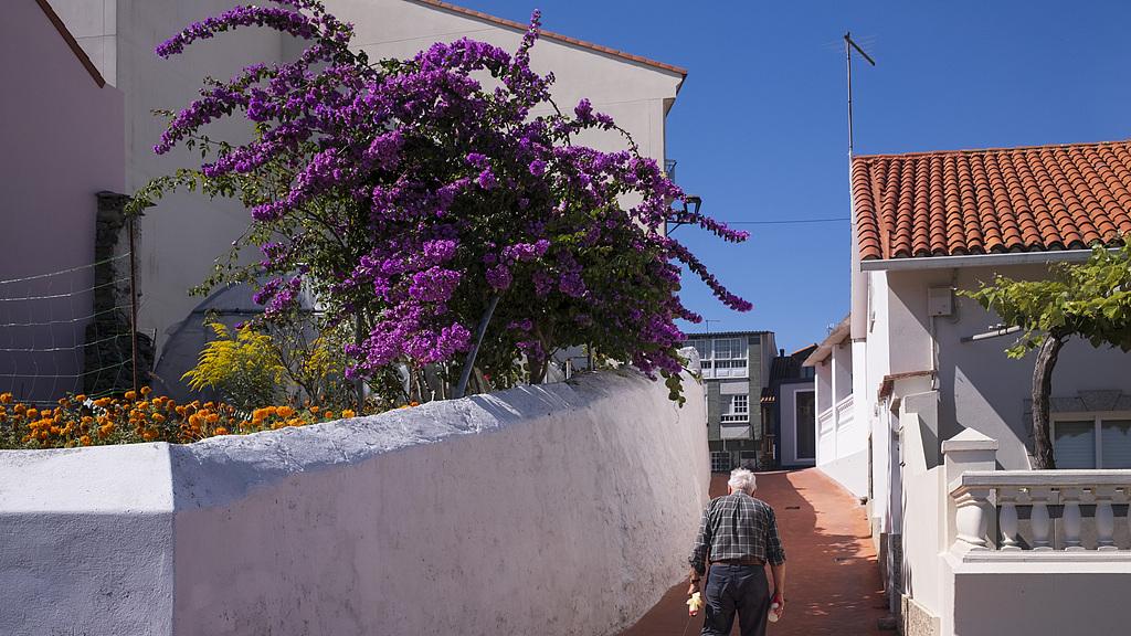 “房子是避风港”：单身老人守住老窝，到底错没错？